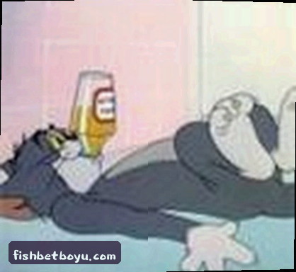 赵宇
